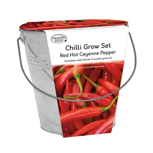 Pronto Seed Cayenne Chilli Pepper Growing Kit with Bucket Planter & Chilli Seeds - Gardening Gifts for Women & Men