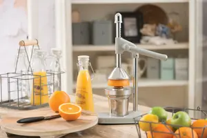 Living Nostalgia Heavy Duty Lemon, Orange Juicer with French Grey Lever-arm