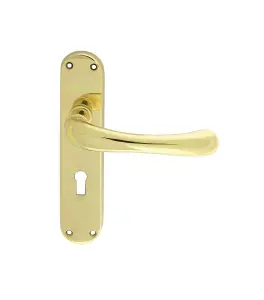 Manital Polished Brass Ibra Lever on Lock Backplate (EL11)