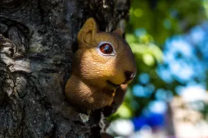 Squirrel Tree Peeker Garden Ornament