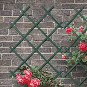 Plastic Wall Trellis Expanding Plant Climbing Vine Garden PVC Fence 200 x 100cm