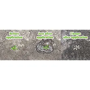 Pro-Kleen No Grow Weed Killer For Patio And Driveways (10 Litres)