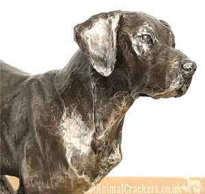 Large Labrador on Rocks dog figurine in solid cold cast bronze designed by David Geenty