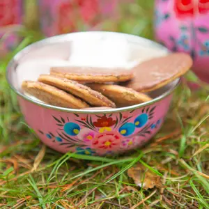 BillyCan Hand-Painted Picnic Snack Bowl - 14.5cm - Raspberry Pansy