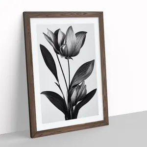 XV1022-2844X Monochrome Flower - Single Picture Frame Painting Walnut / 46cm H x 34cm W x 2cm D