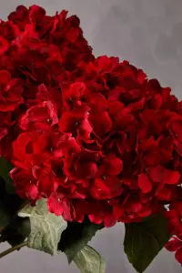 Fiori 74cm Hydrangea Stem Red Flower Artificial Plant Foliage