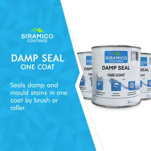 The DampSeal One Coat - 5 Litres - Matt White - Seals Damp And Mould Stains In One Coat By Brush Or Roller