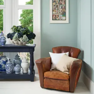 Annie Sloan Wall Paint 120ml Upstate Blue