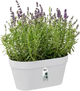 Elho Loft Urban Green Wall Duo 28cm Plastic Plant Pot in White