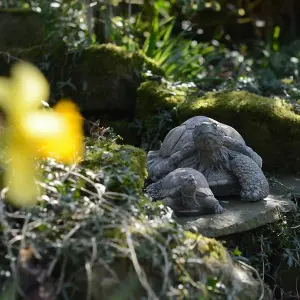 Tortoise Family Garden Ornament