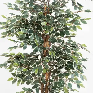 Blooming Artificial - 150cm / 5ft Variegated Fake Ficus Tree