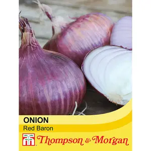 Onion Red Baron 1 Seed Packet (175 Seeds)