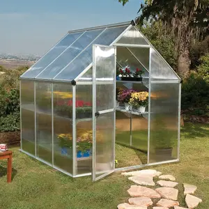 Palram - Canopia Mythos Silver 6x6 Greenhouse