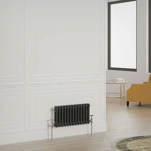 G-Rad Black Double Column Horizontal Radiator - (H) 300 x (W) 590mm