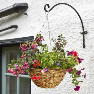 Smart Garden Hyacinth Natural Round Hanging basket, 35cm