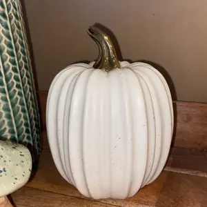 The Satchville Gift Company Gold Stem White Pumpkin