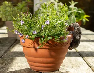 Antique Bronze Coloured Cavalier King Charles Spaniel Pot Buddy Plant Pot Hanger