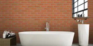 Ibstock Grampian Red Brick 65mm Mini Pack 250