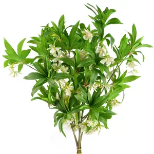 Pack of 6 x 90cm Artificial Hainan Elaeocarpus Stem