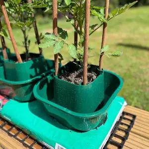 Tomato & Vegetable Growbag Pots (Set of 3)