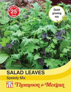 Salad Leaves - Speedy Mix 1 Seed Packet (500 Seeds)