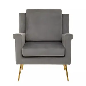 Interiors by Premier Grey Velvet Armchair For Livingroom, Modern Sturdy Armchair, Velvet Upholstered Accent Chair For Reading