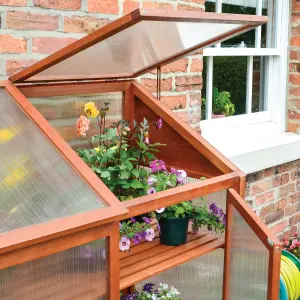 Rowlinson Hardwood Mini Greenhouse