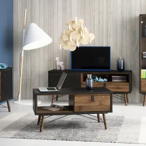 Ry TV-unit 1 door + 1 drawer in Matt Black Walnut