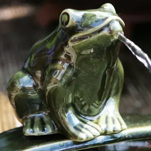 Primrose Green Frog Solar Ceramic Dish Outdoor Indoor Use Water Feature 35cm