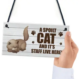 Novelty Funny Cat Sign Pet Sign Pet Gift For Family Home Decor Gift Keepsake