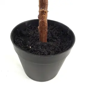 60cm Artificial Fiddle Fig Plant