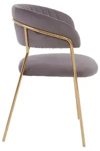 Interiors by Premier Soft Mink Velvet Dining Chair, Modern Dining Armchair, Mink and Gold Luxury Dining Chair for Home, Lounge