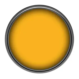 Leyland Trade Vinyl Soft Sheen Walls & Ceilings Emulsion Paint Signal Yellow (RAL 1003) - 5L