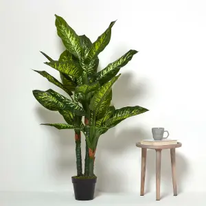 Homescapes Dieffenbachia Dumb Cane Plant in Pot, 150 cm Tall