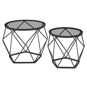 Alieya Round Coffee Tables, Set Of 2 Side Tables, Modern Style, Removable Tabletop, Steel Frame, For Living Room,Transparent-Cloud Black