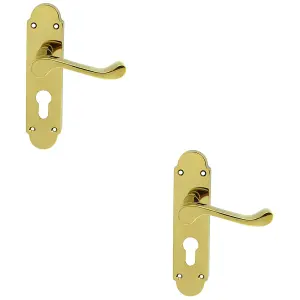 2 PACK - Victorian Scroll Latch & EURO Lock Door Handle Brass PVD Lever Shaped Backplate