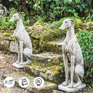 Stunning Pair of Large Sitting Greyhounds Statues