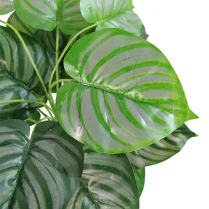 60cm Artificial Green Stripe Leaf Plant