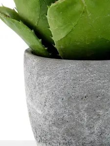 Fiori Large Succulent with Cement Pot Artificial Plant Foliage