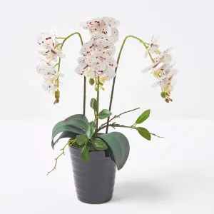 Homescapes White Orchid 56 cm Phalaenopsis in Ceramic Pot