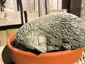 Sleeping Hedgehog Statue Reconstituted Stone Animal Concrete Garden Ornament