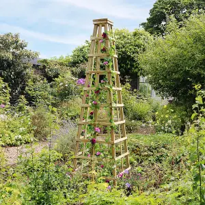 Zest Snowdon Obelisk Wooden Garden Plant Support Rose Flower Climber