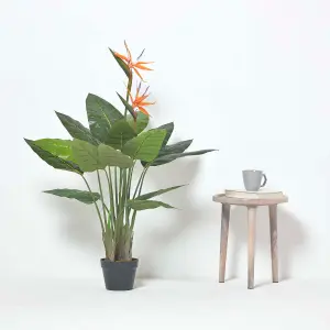 Homescapes Bird of Paradise Plant in Pot, 120 cm Tall