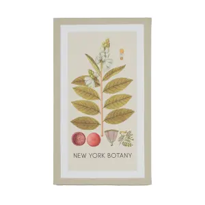 Arthouse Botanical Neutral Tones Mixed size Canvas art, Set of 6