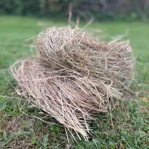 Hedgehog House Nesting Material