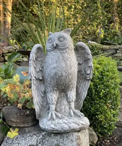 Highly detailed Stone Owl garden ornament