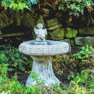 Garden Birdbath 'Kiss of Sun' with Bird atop