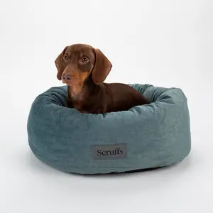 Polyester Pet Bed Teal / Large (18-32kg)