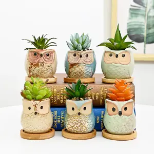 simpa 6PC Funky Owl Themed Ceramic Plant Pots with Bamboo Base