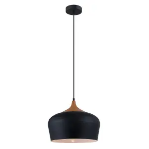 Luminosa Modern Hanging Pendant Black 1 Light , E27